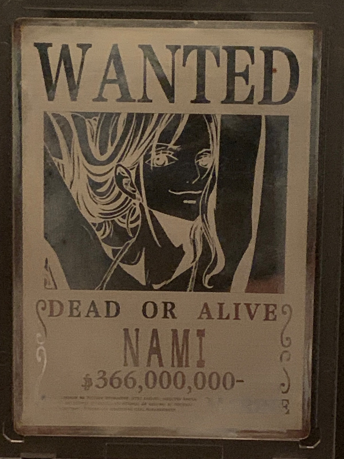 WANTED NAMI