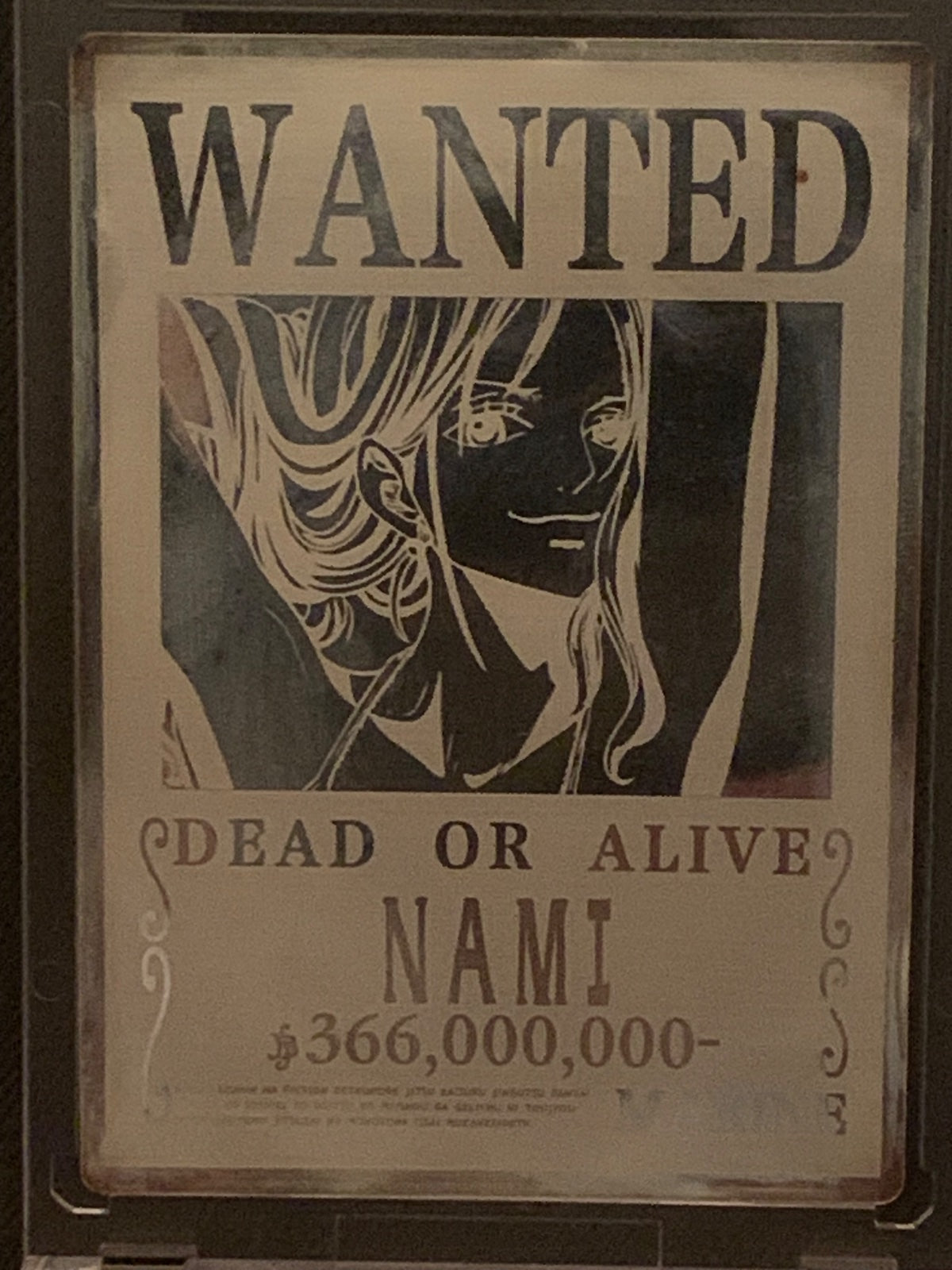 WANTED NAMI