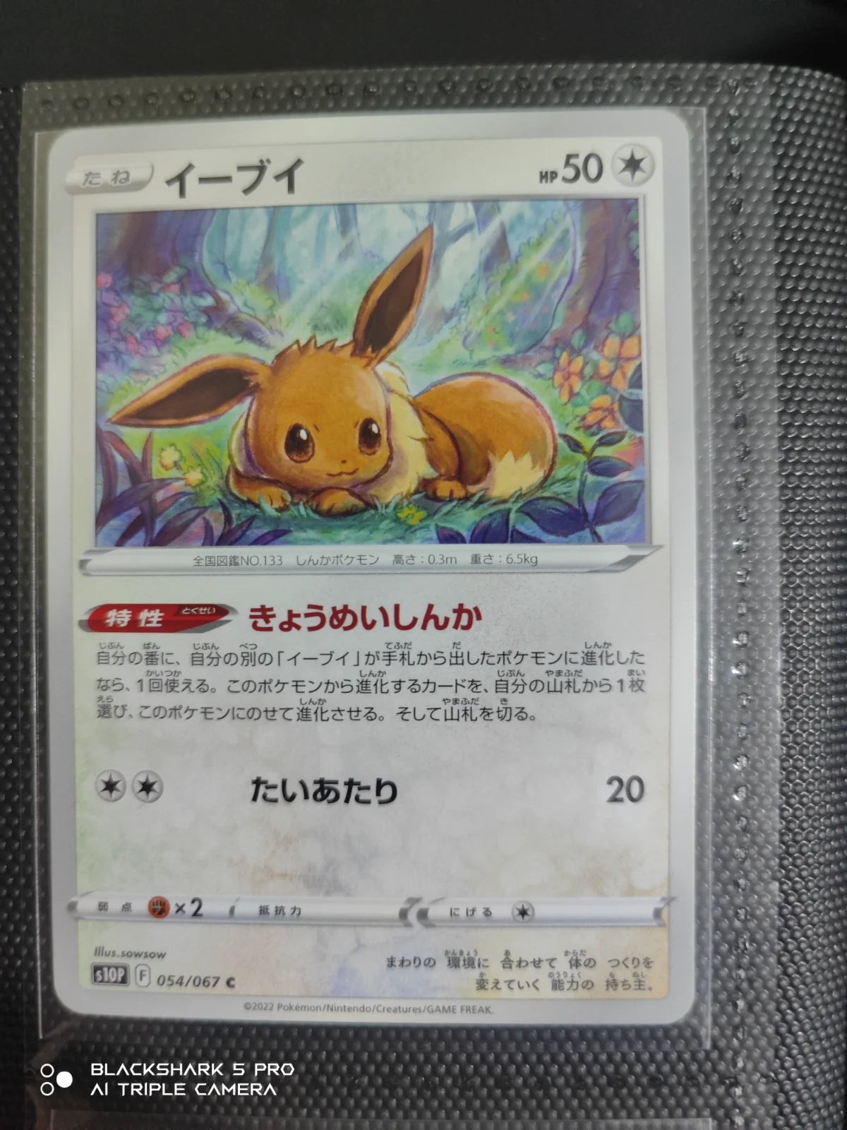Eevee (JP) 054/067 (Space Juggler)