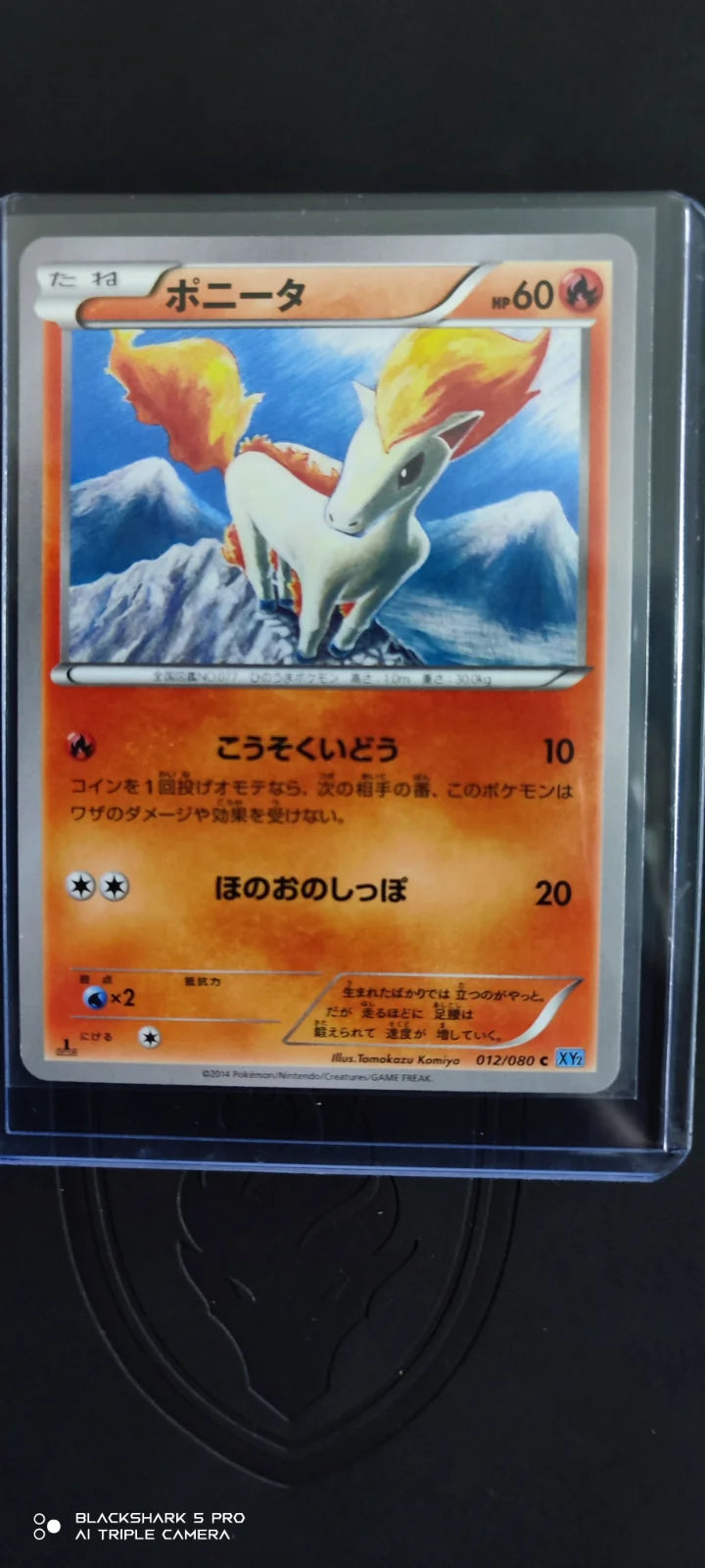 Ponyta (JP) 012/080 (Wild Blaze)