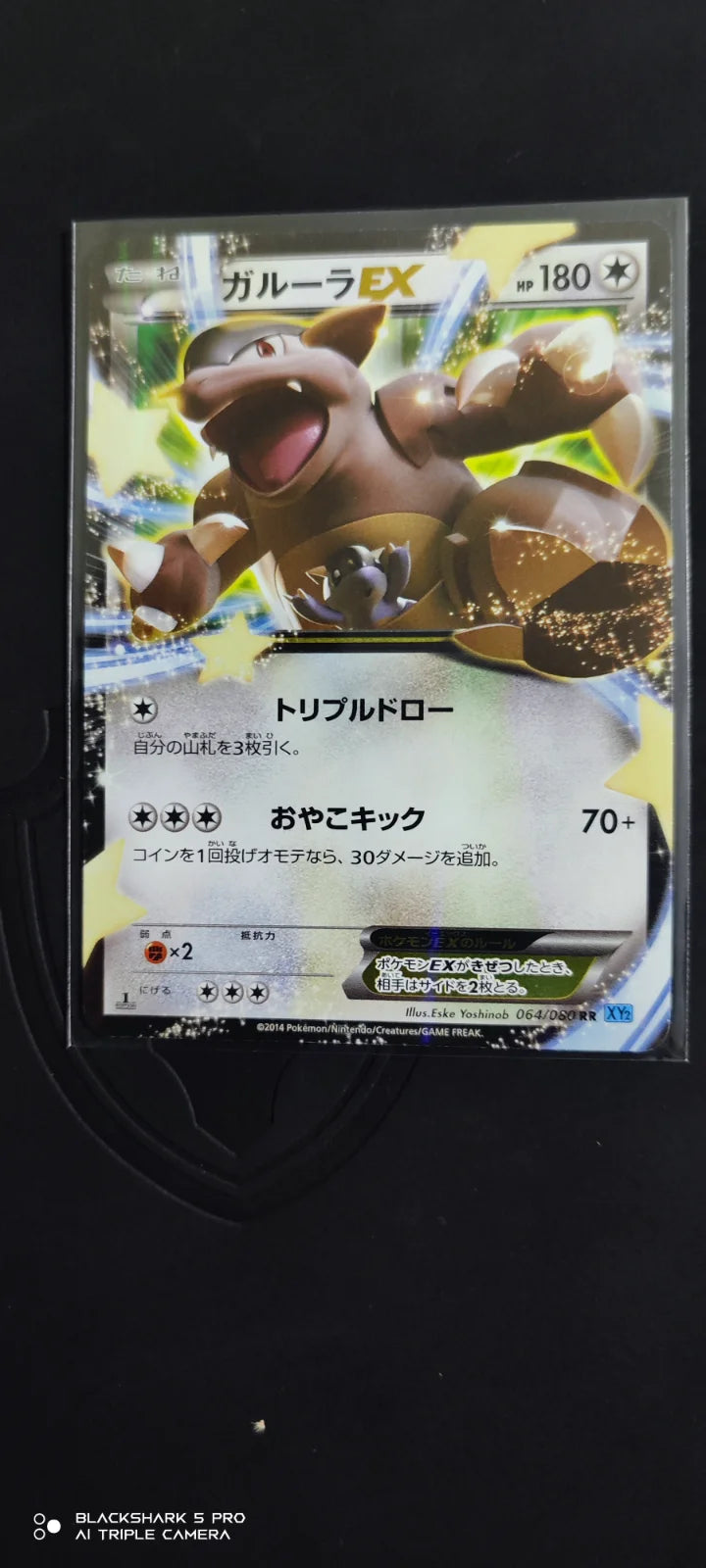 Kangaskhan EX (JP) 064/080 (Wild Blaze)