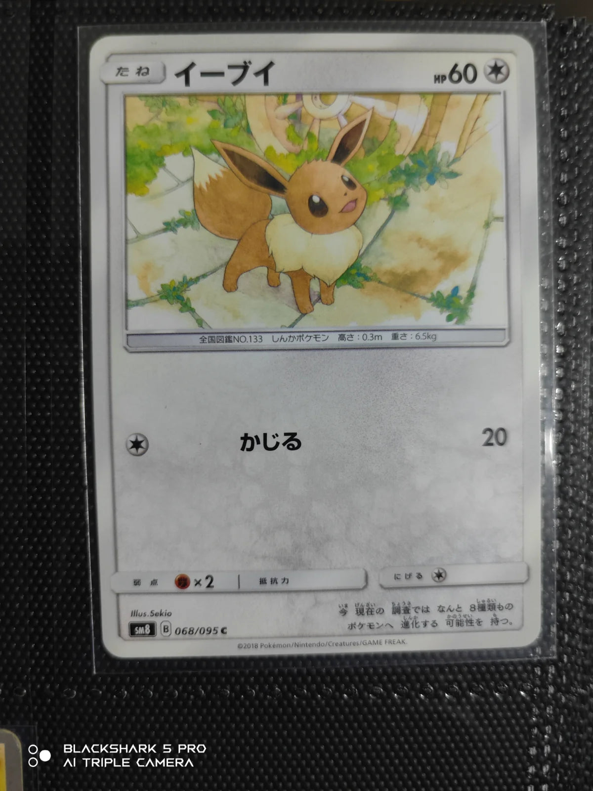 Eevee (JP) 068/095 (Burst Impact)