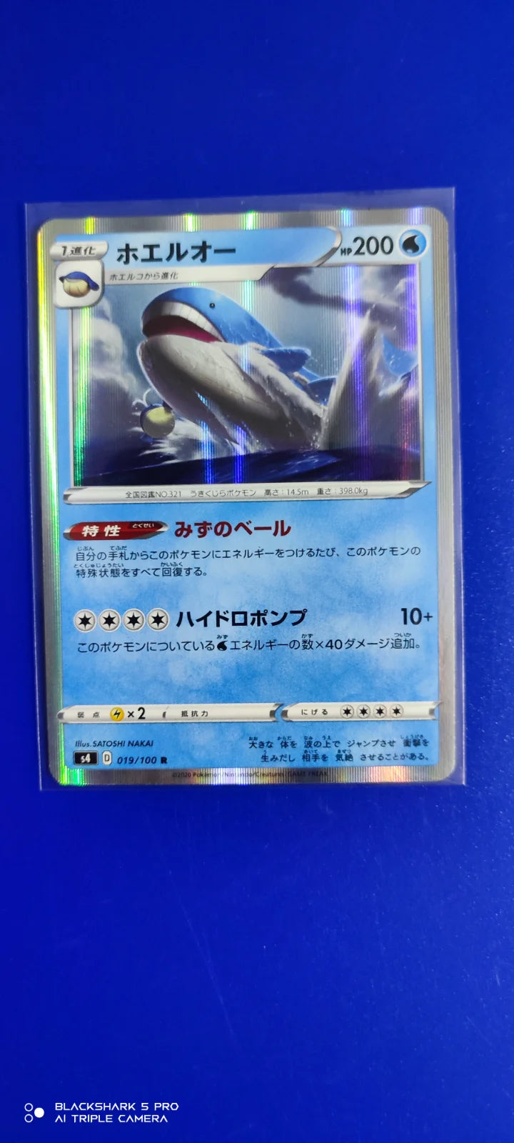 Wailord (JP) 019/100 (Amazing Volt)