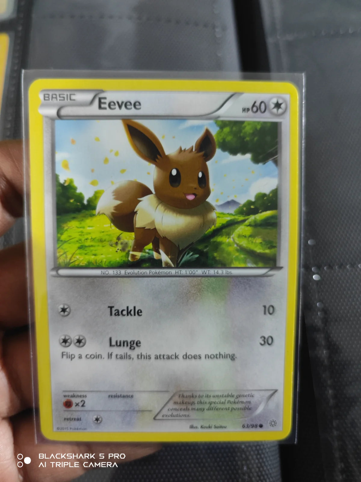 Eevee 63 · Normal (Ancient Origins)