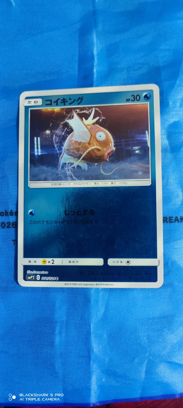 Magikarp (JP) 011/024 (Detective Pikachu)