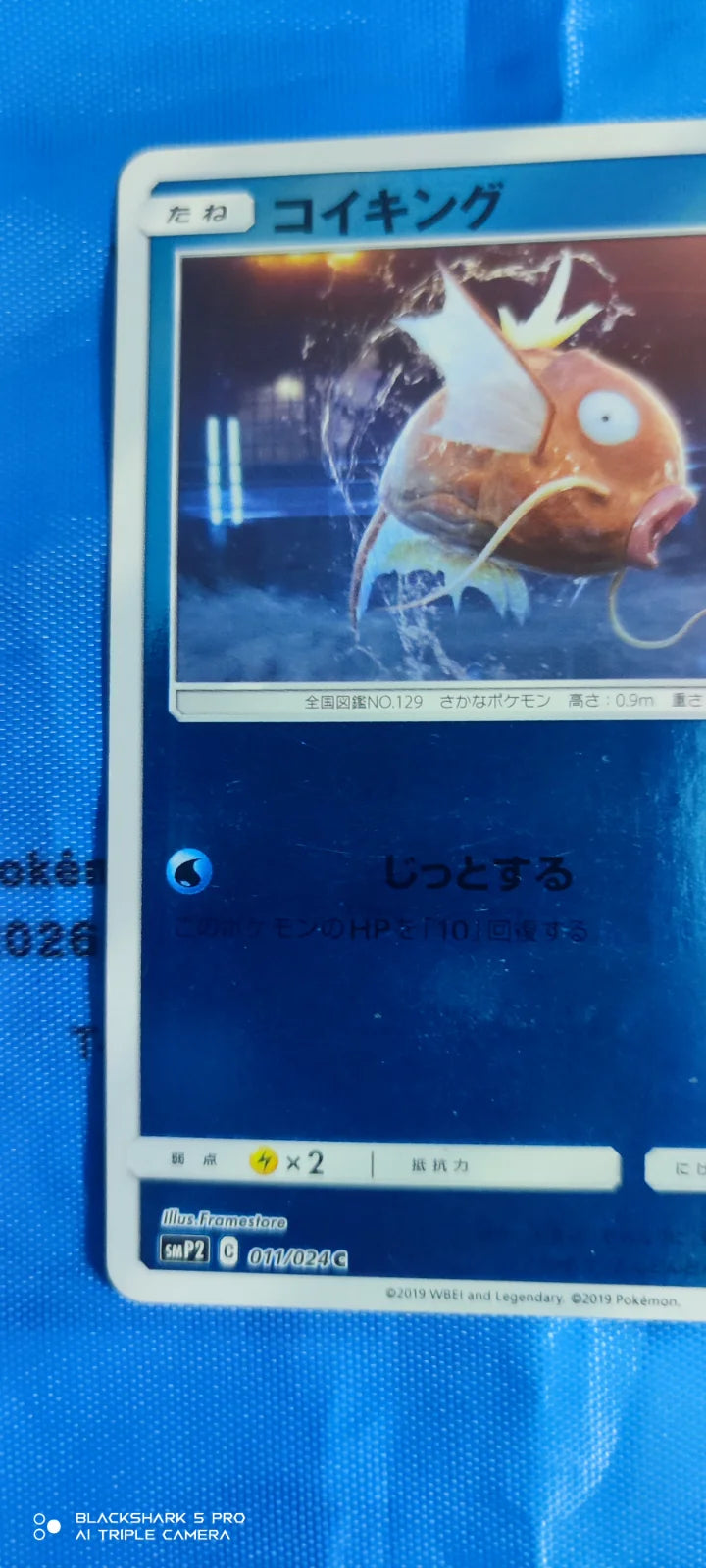 Magikarp (JP) 011/024 (Detective Pikachu)