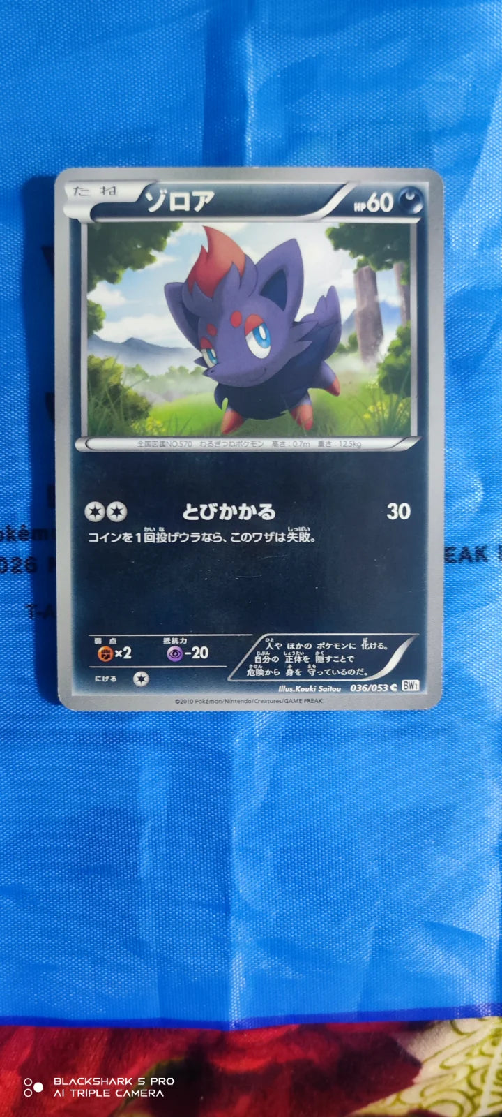 Zorua (JP) 036/053 · Unlimited ((White Collection,BW1))