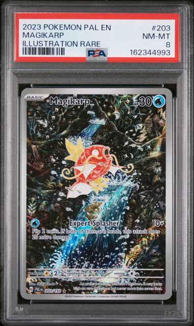 Magikarp 203/193 (Paldea Evolved) — PSA 8