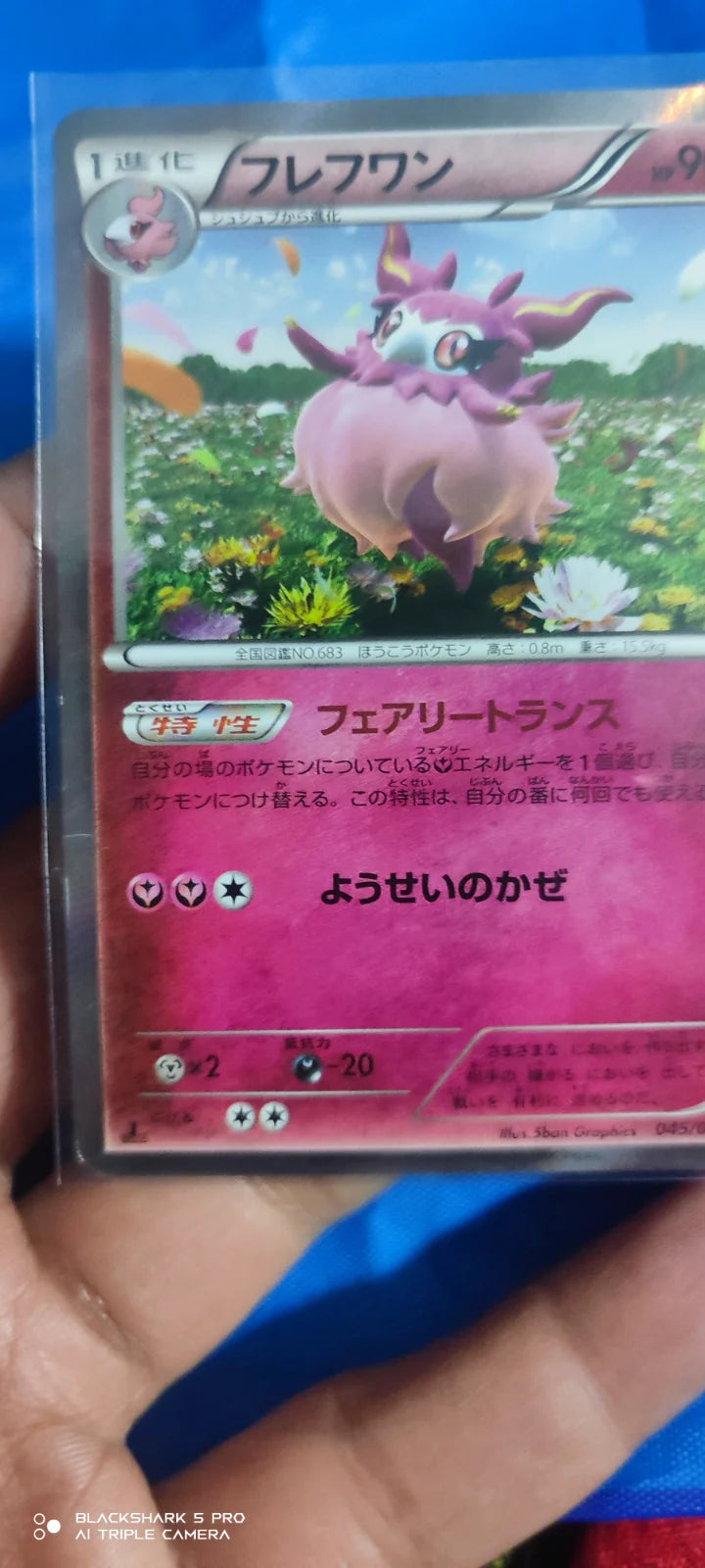 Aromatisse (JP) 045/060 (Collection Y)