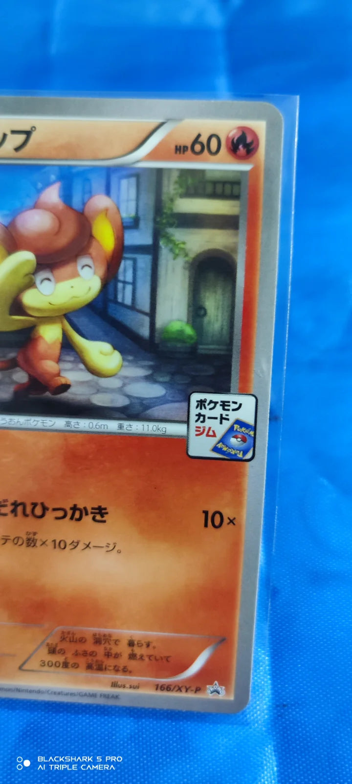 Pansear (JP) 166/XY-P (XY Promos (JP))