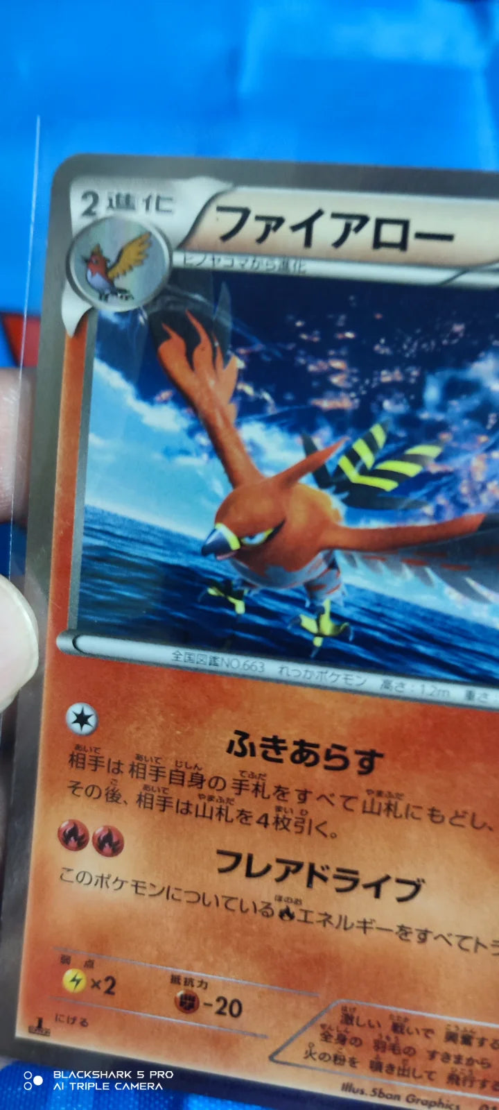 Talonflame (JP) 013/060 (Collection Y)