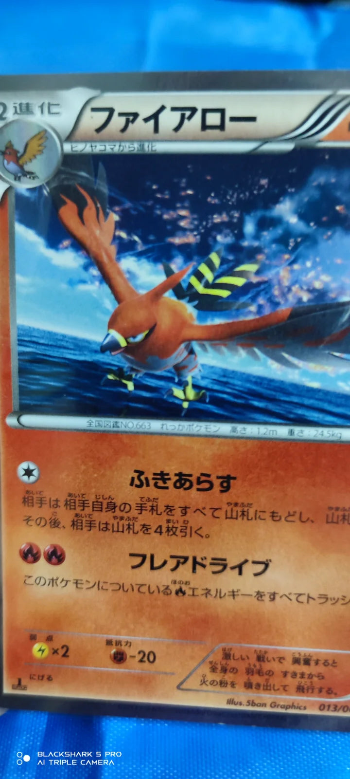 Talonflame (JP) 013/060 (Collection Y)