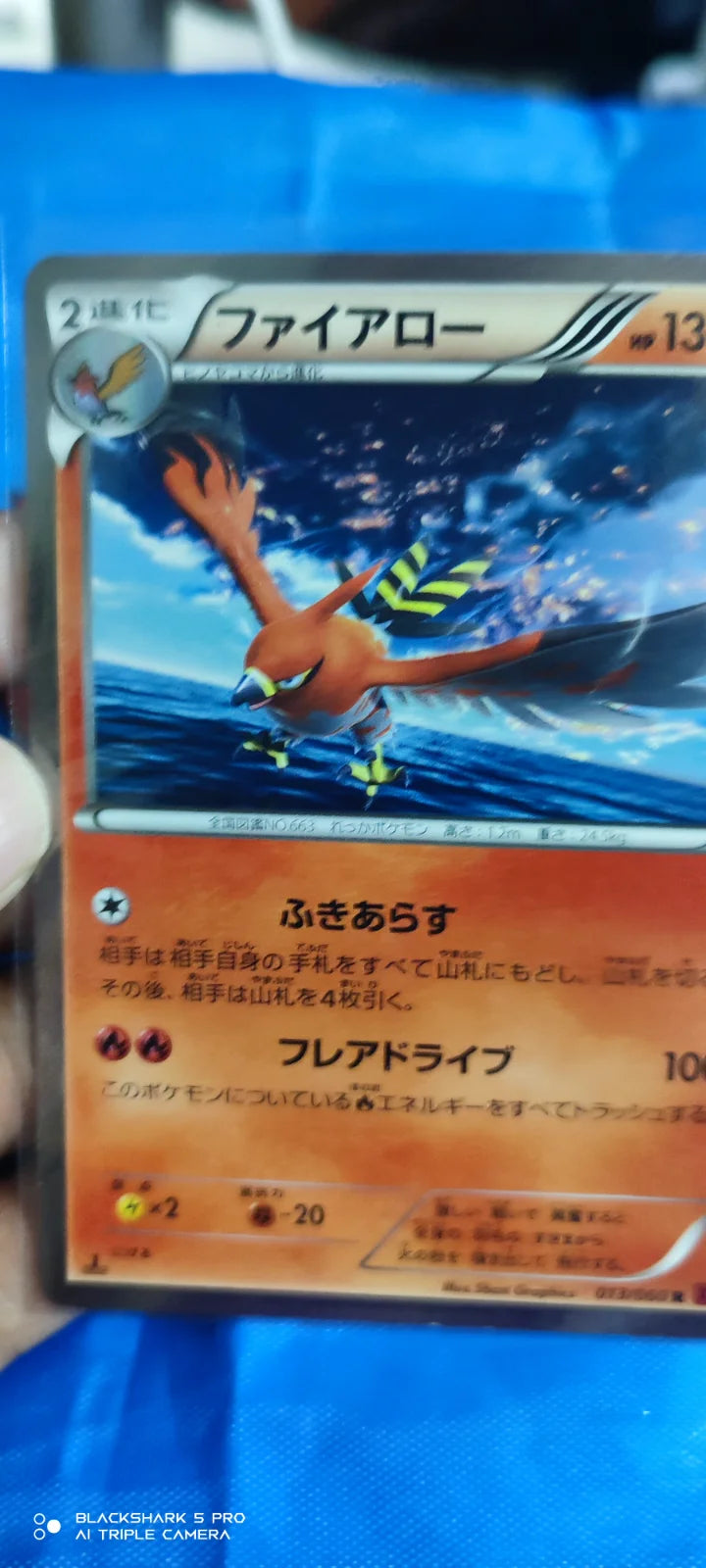 Talonflame (JP) 013/060 (Collection Y)