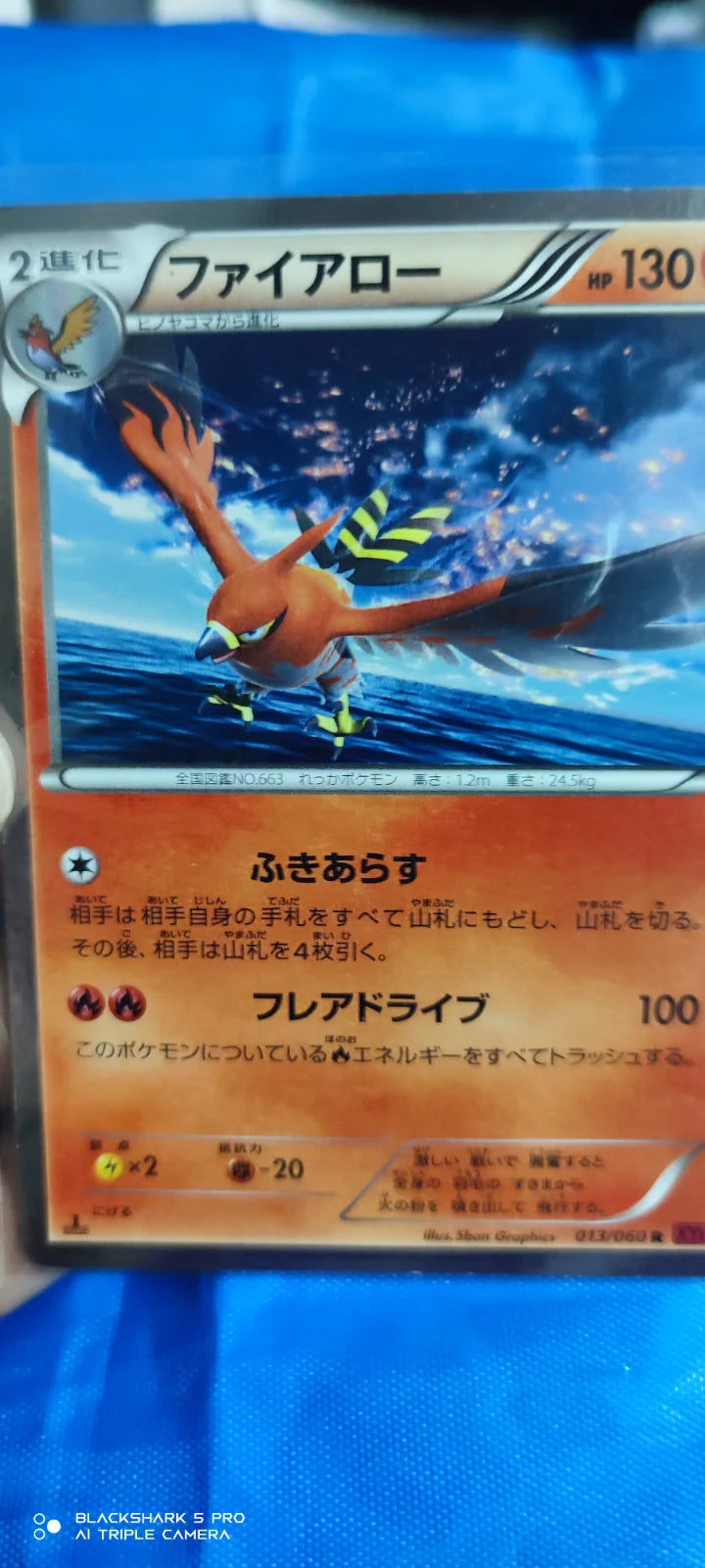 Talonflame (JP) 013/060 (Collection Y)