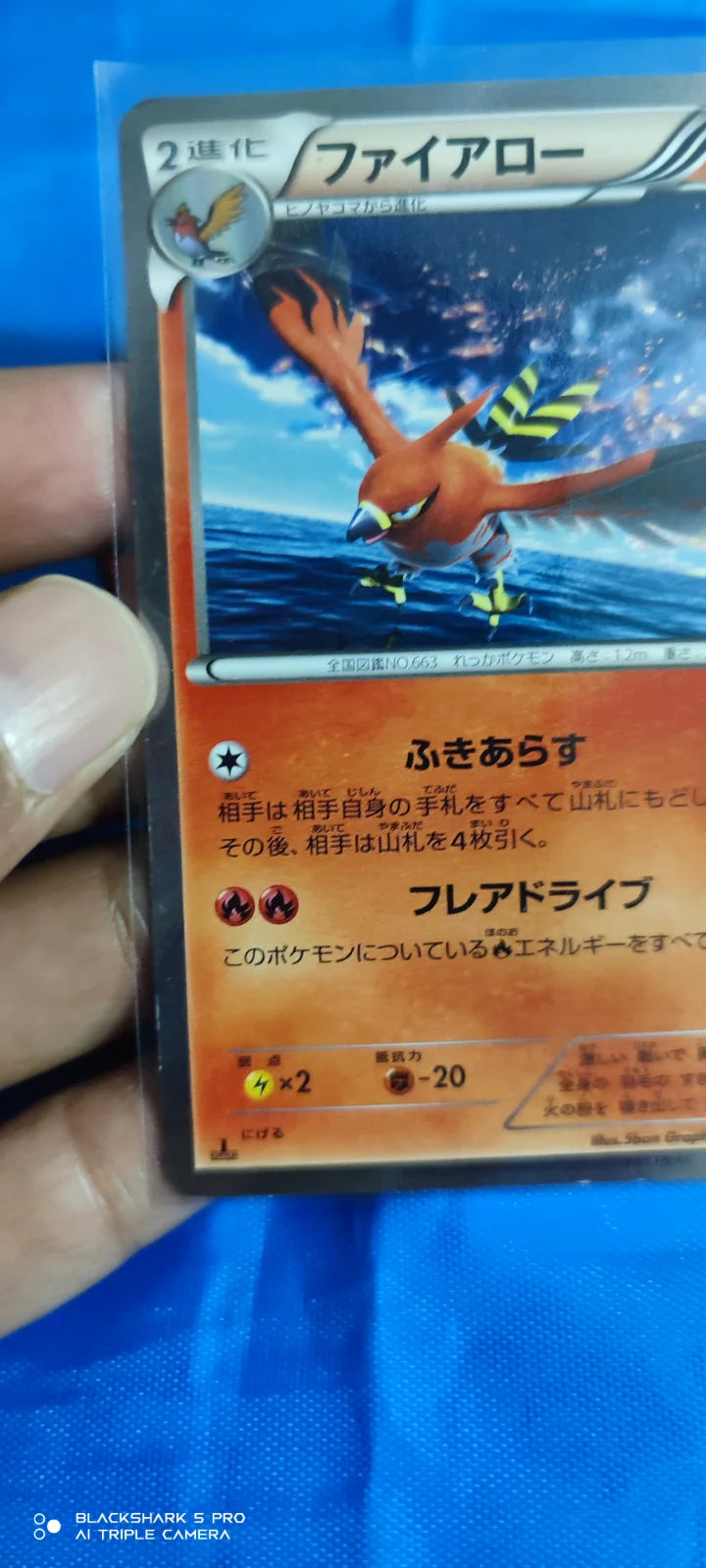 Talonflame (JP) 013/060 (Collection Y)