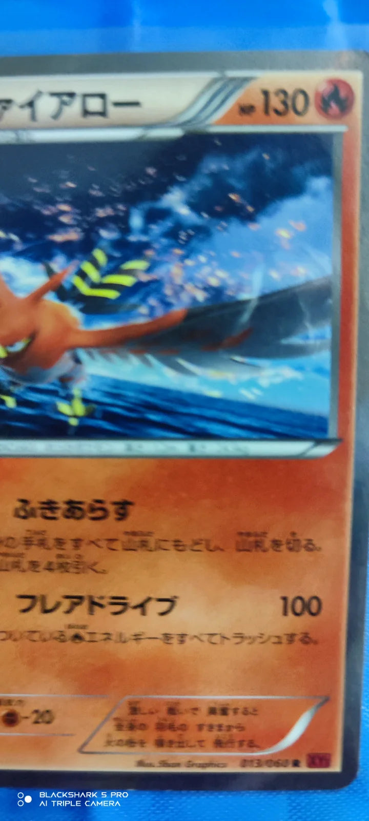 Talonflame (JP) 013/060 (Collection Y)