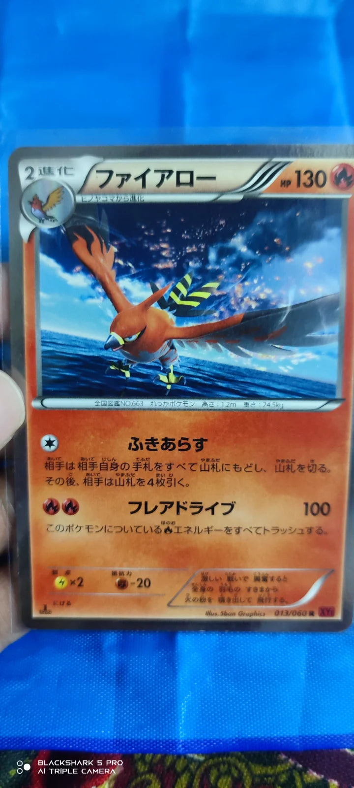 Talonflame (JP) 013/060 (Collection Y)