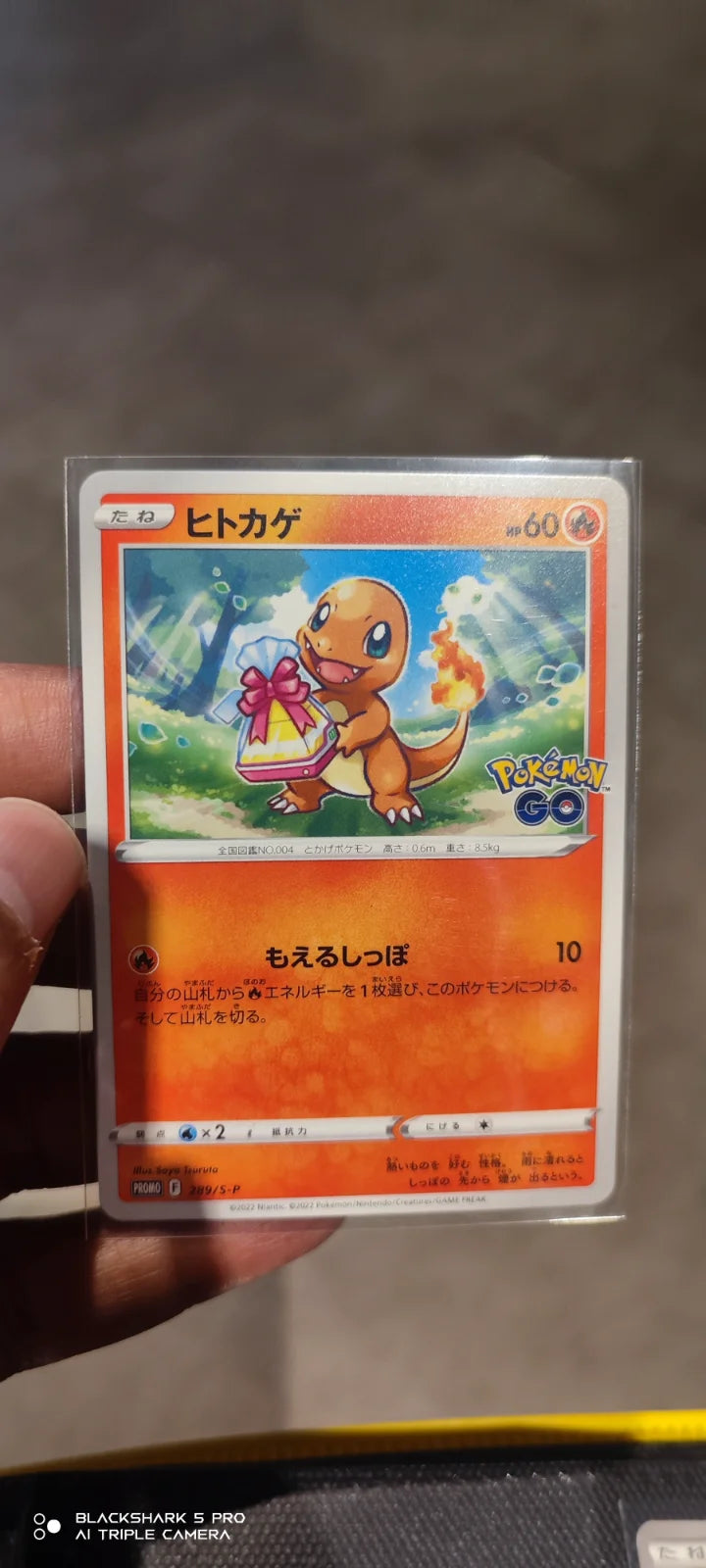 Charmander (JP) 289/S-P (Sword & Shield Promos (JP))