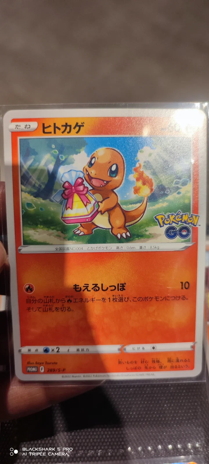 Charmander (JP) 289/S-P (Sword & Shield Promos (JP))
