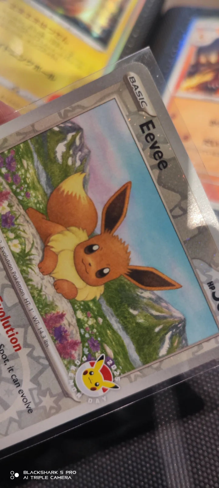 Eevee (Pokemon Day 2025) (Reverse Cosmos Holo) 074/131 (Miscellaneous Cards & Products)