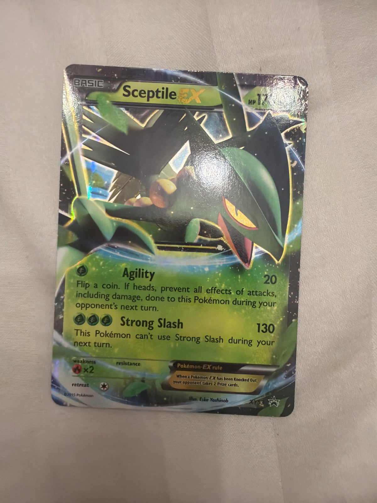 Sceptile EX XY53 (XY Promos)