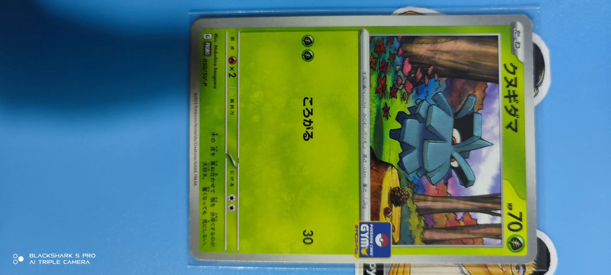 Pineco (JP) 050/SV-P (Scarlet & Violet Promo JP)