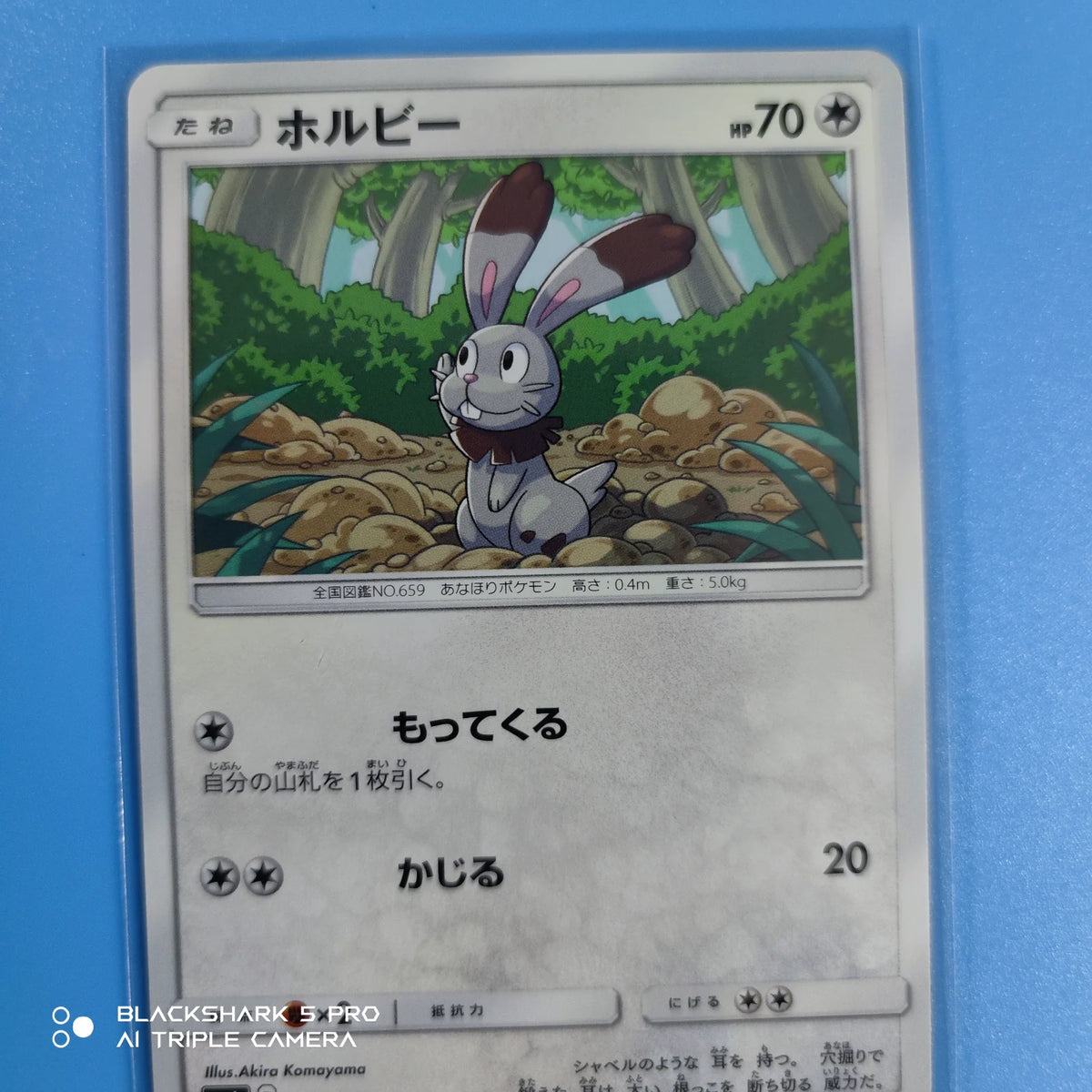 Bunnelby (JP) 071/094 (Forbidden Light)
