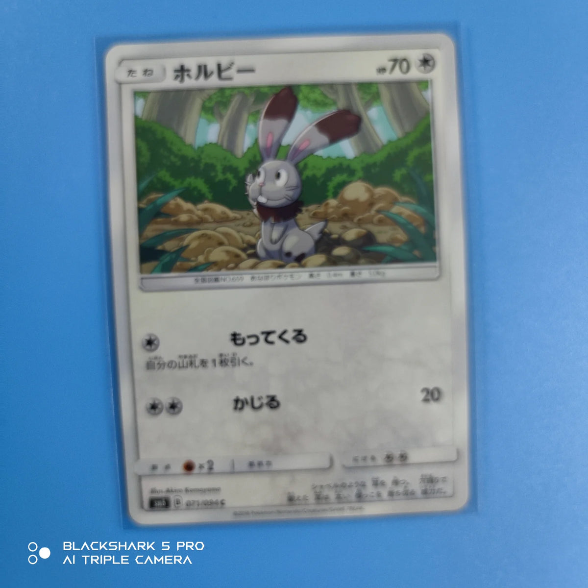Bunnelby (JP) 071/094 (Forbidden Light)