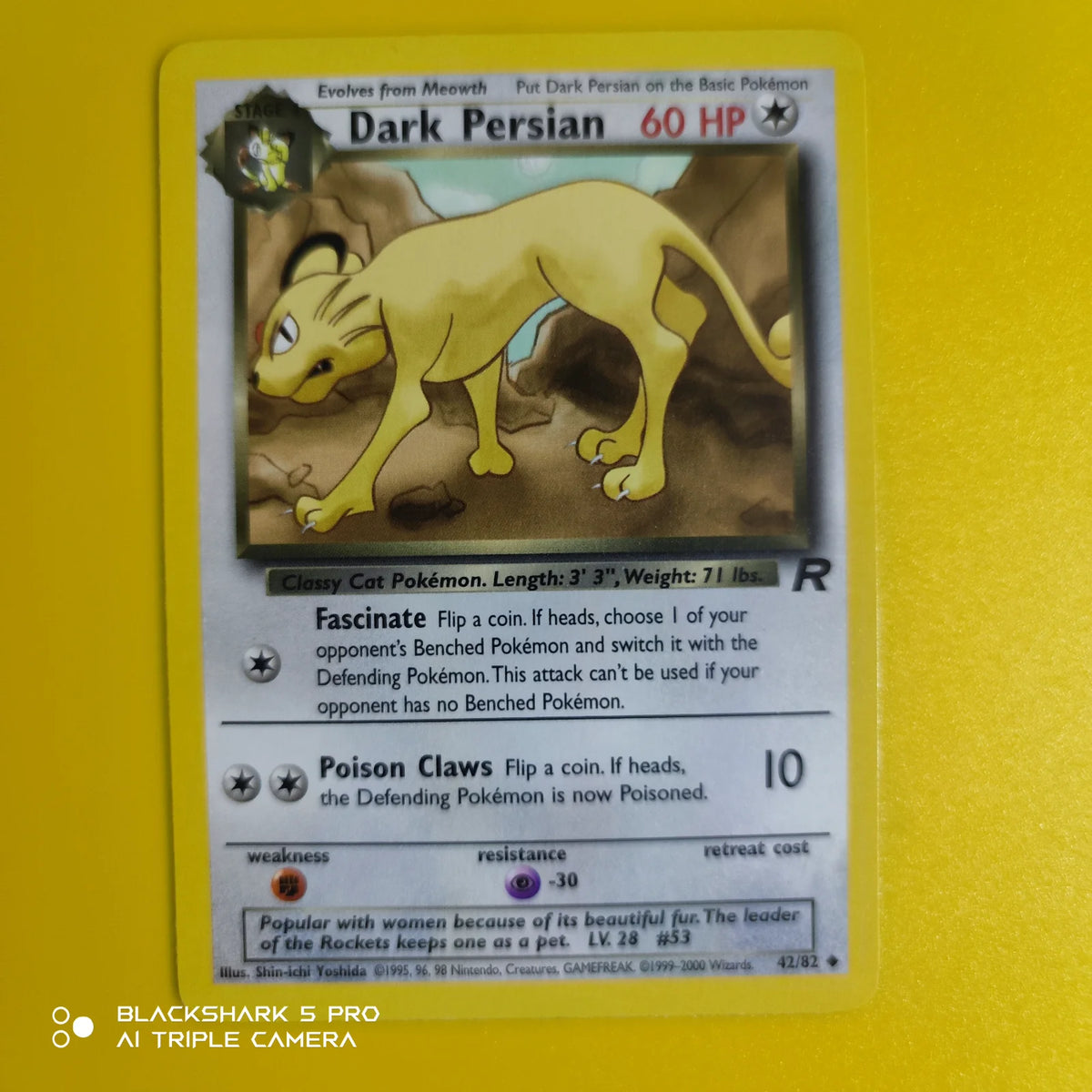 Dark Persian 42 · Unlimited (Team Rocket)