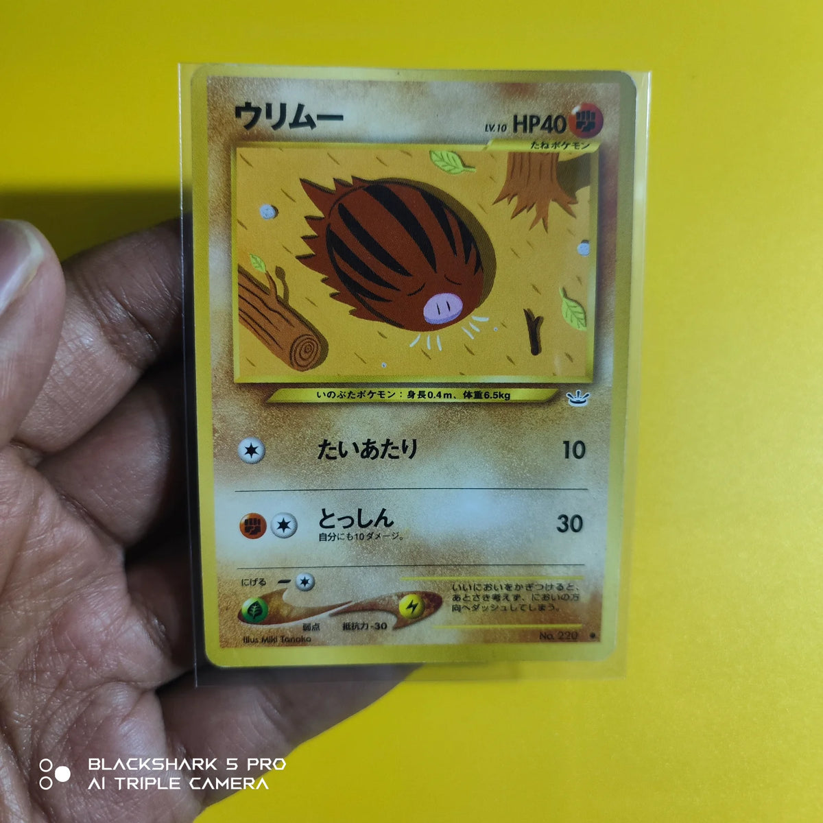 Swinub (JP) 220 (Neo Revelation (Japanese))