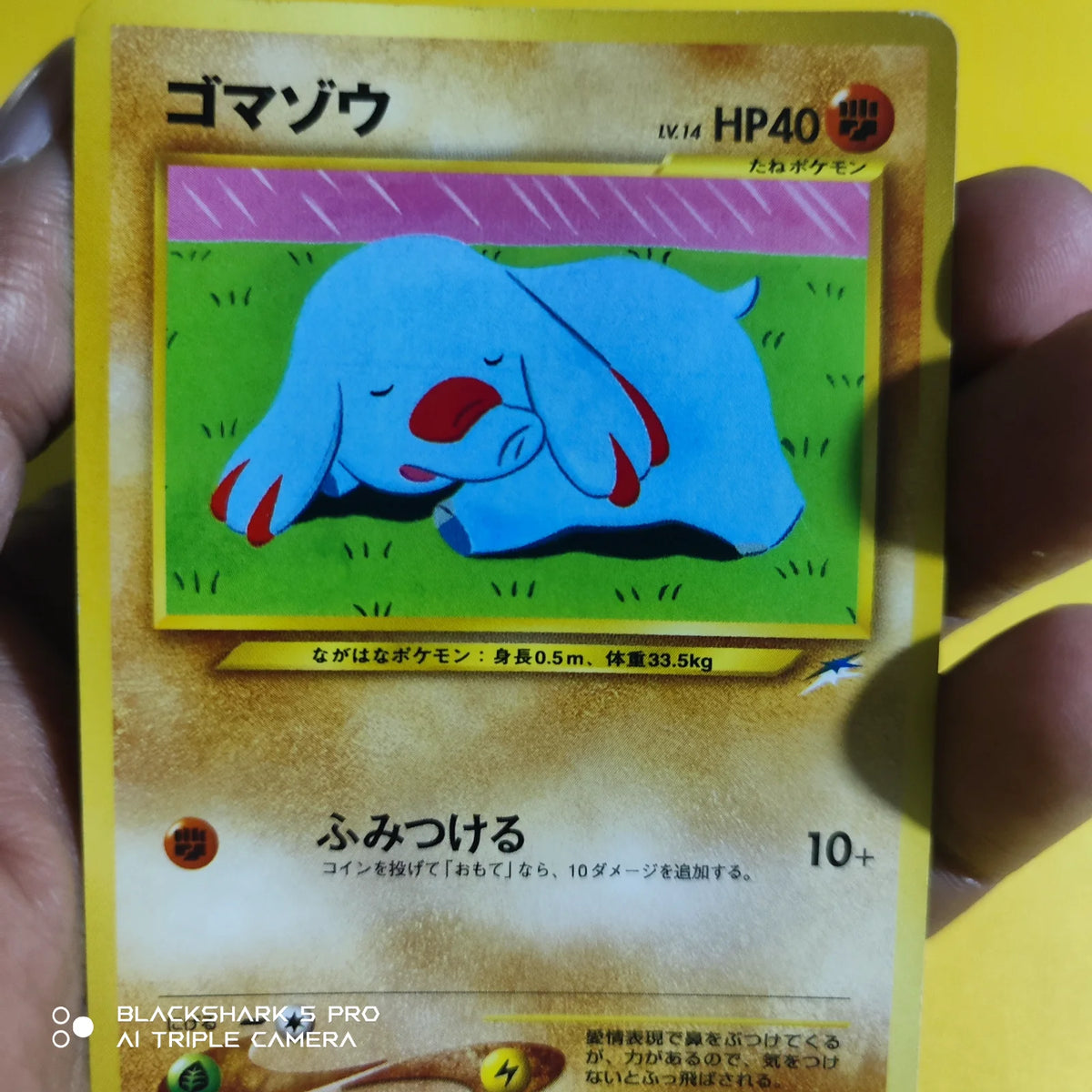 Phanpy (JP) 231 (Neo Destiny (Japanese))