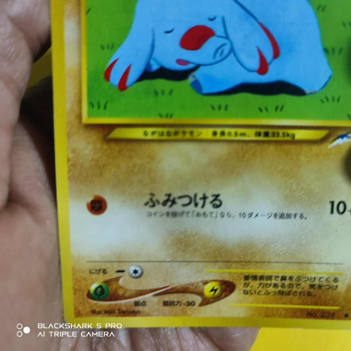 Phanpy (JP) 231 (Neo Destiny (Japanese))