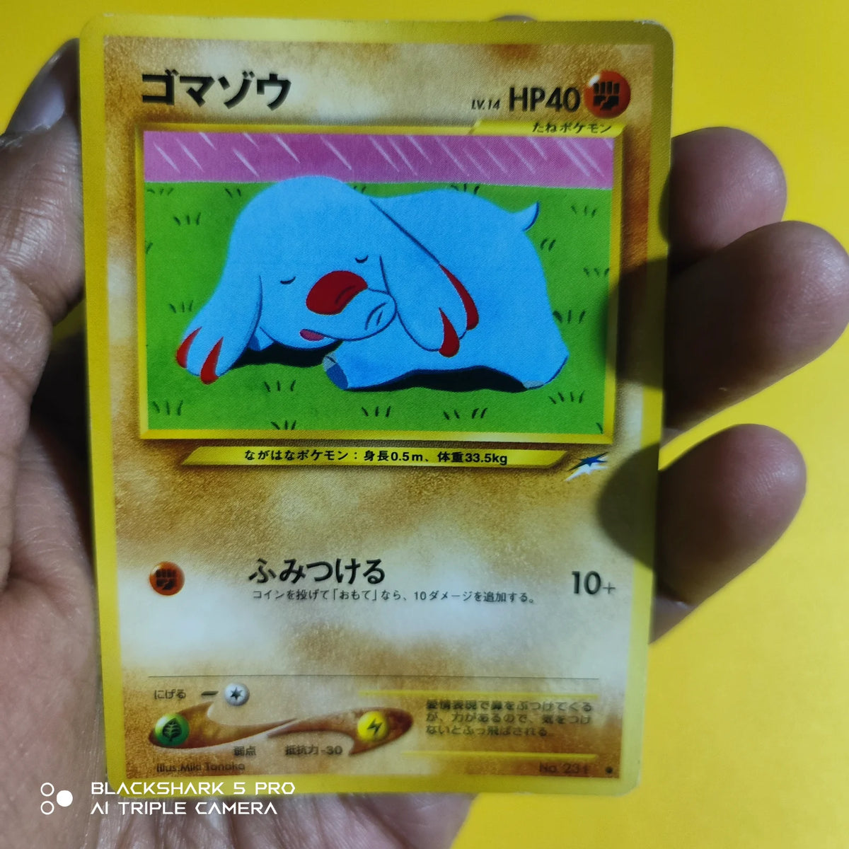 Phanpy (JP) 231 (Neo Destiny (Japanese))