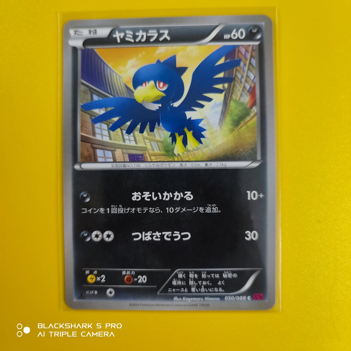 Murkrow (JP) 050/088 (Phantom Gate)