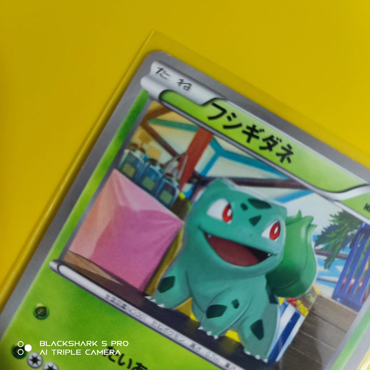 Bulbasaur (JP) 001/069 (Dark Rush)
