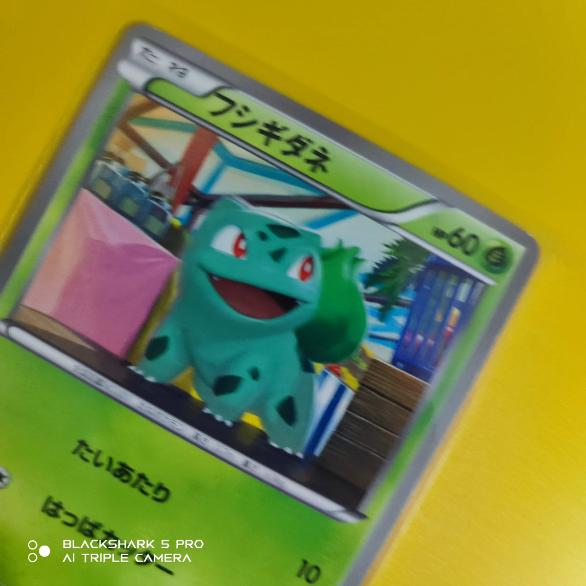 Bulbasaur (JP) 001/069 (Dark Rush)