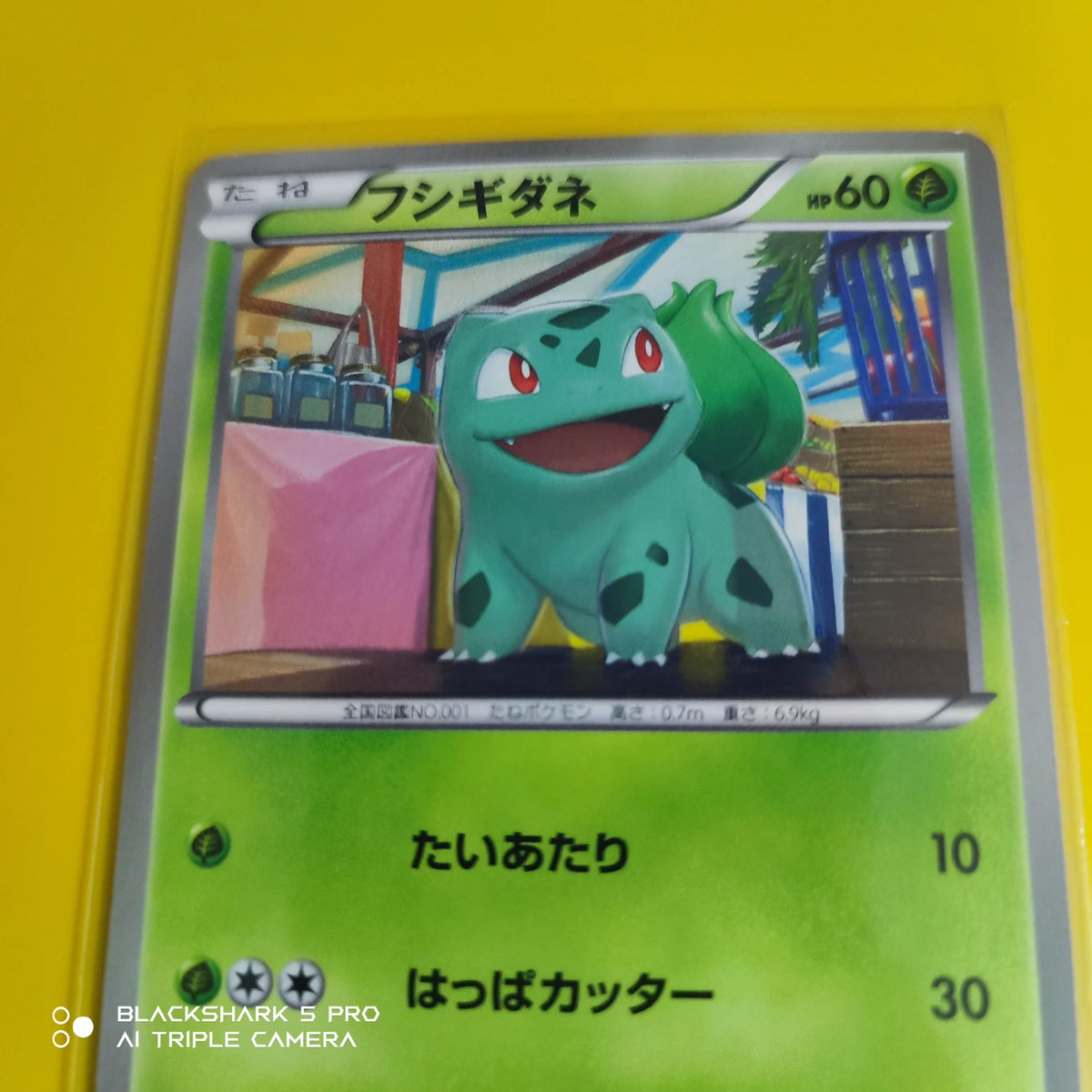 Bulbasaur (JP) 001/069 (Dark Rush)