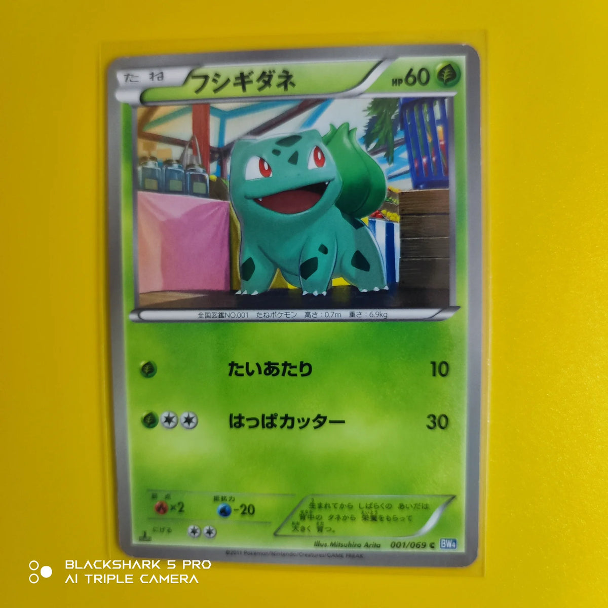 Bulbasaur (JP) 001/069 (Dark Rush)