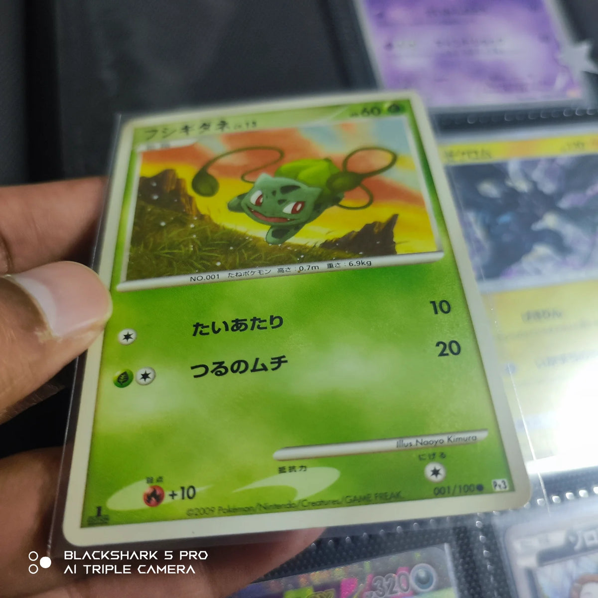 Bulbasaur (JP) 001/100 · 1st Edition (Beat of the Frontier)