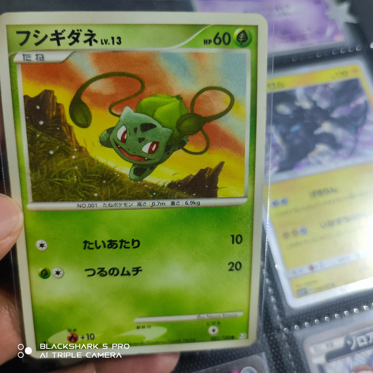 Bulbasaur (JP) 001/100 · 1st Edition (Beat of the Frontier)