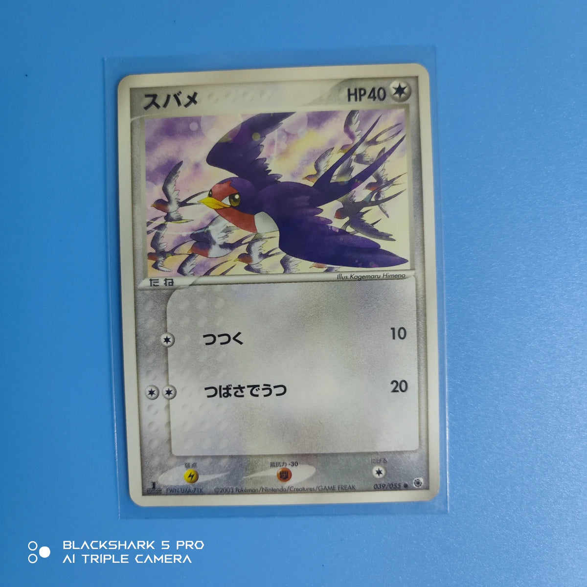 Taillow 039/055 · 1st Edition (ADV Expansion Pack)