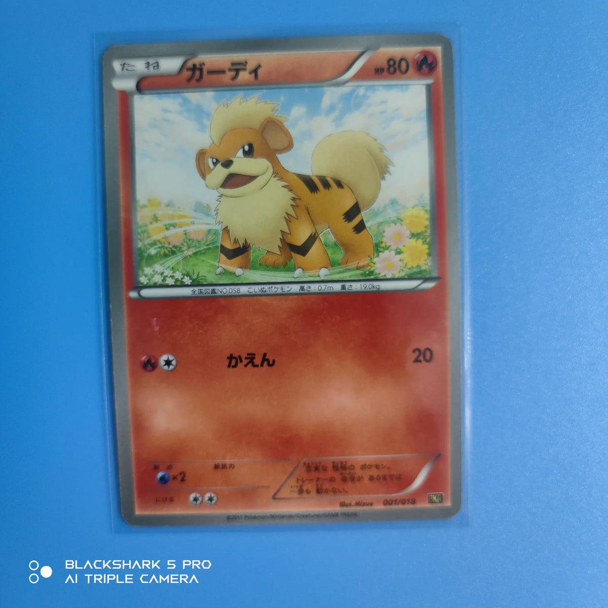 Growlithe 001/018 (BKR: Reshiram-EX Battle Strength Deck)