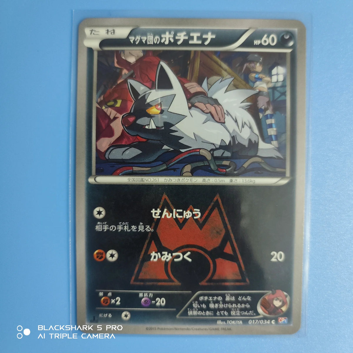 Team Magma's Poochyena (JP) 017/034 (Double Crisis)