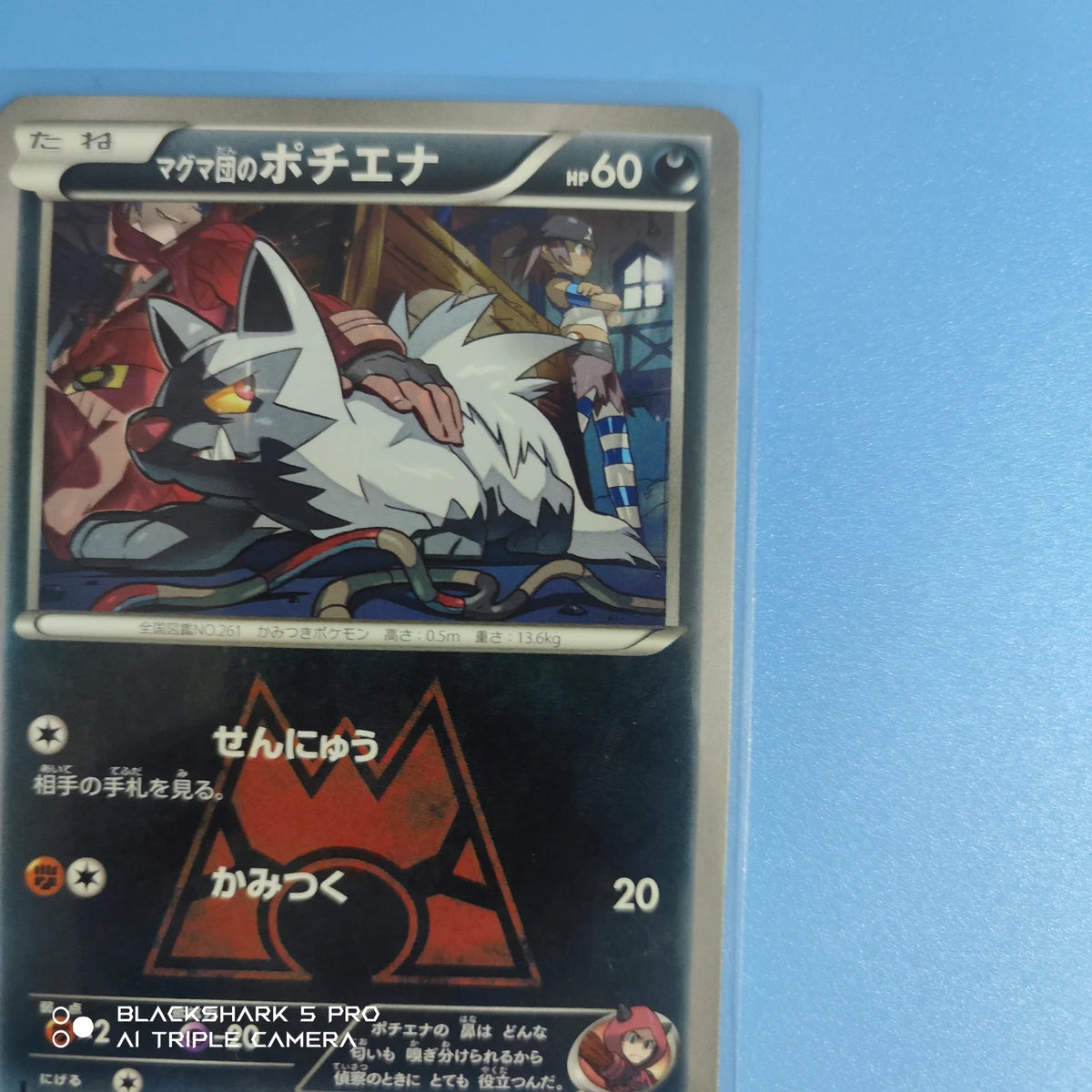 Team Magma's Poochyena (JP) 017/034 (Double Crisis)