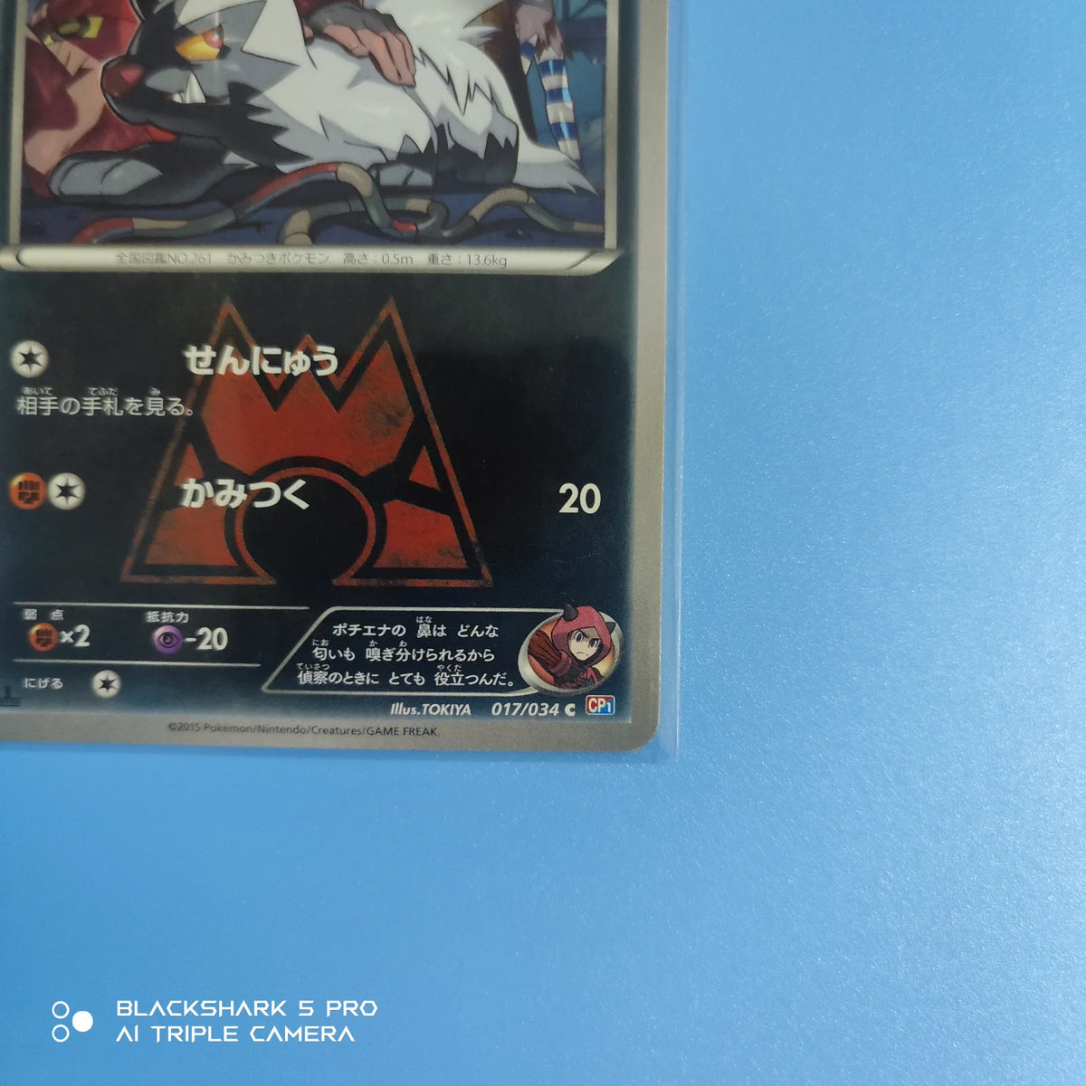 Team Magma's Poochyena (JP) 017/034 (Double Crisis)