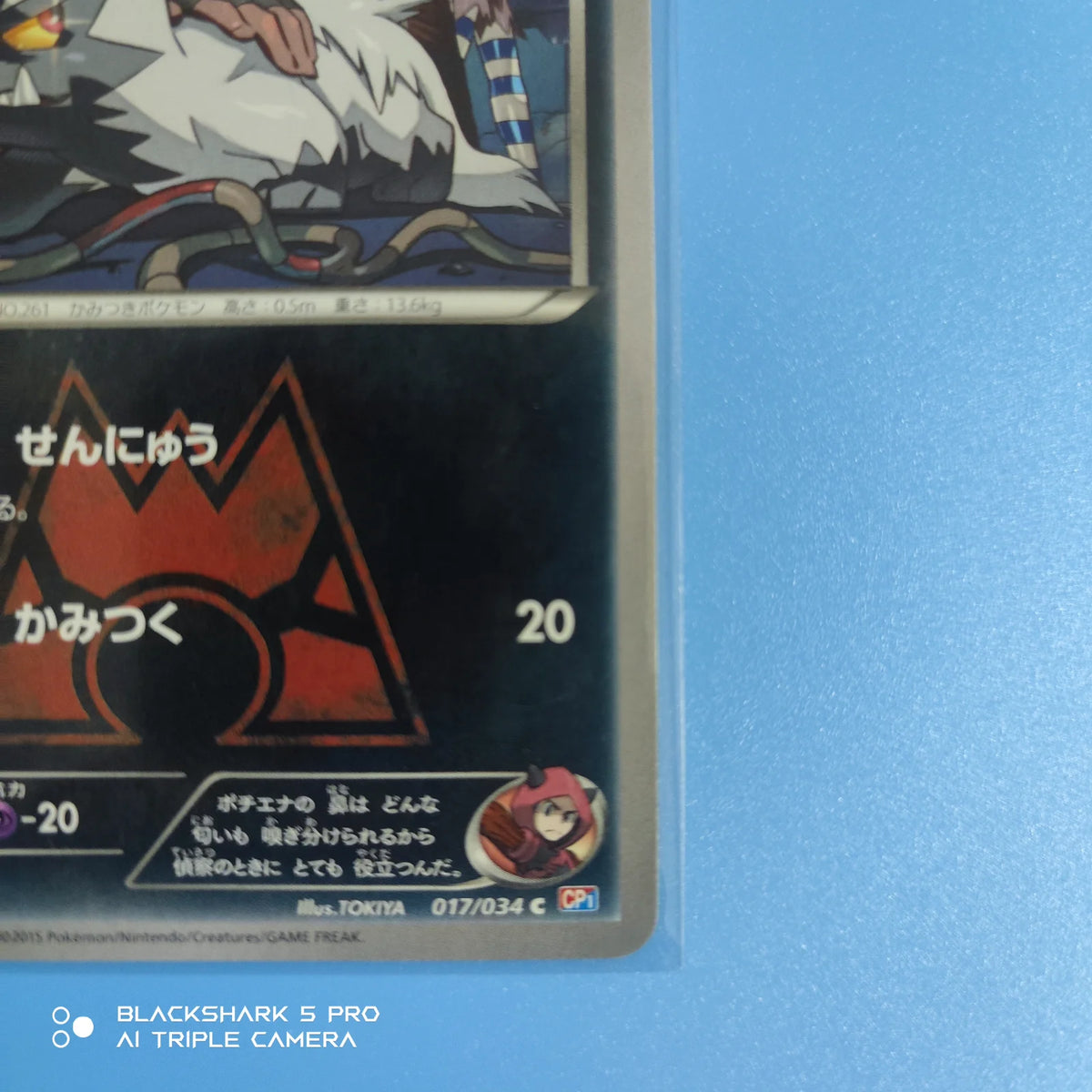 Team Magma's Poochyena (JP) 017/034 (Double Crisis)