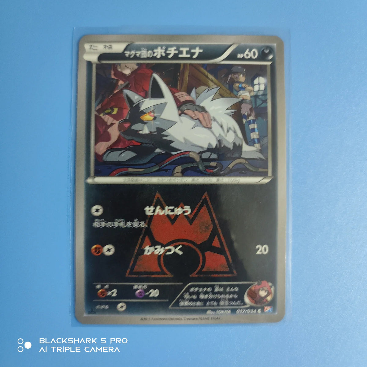 Team Magma's Poochyena (JP) 017/034 (Double Crisis)