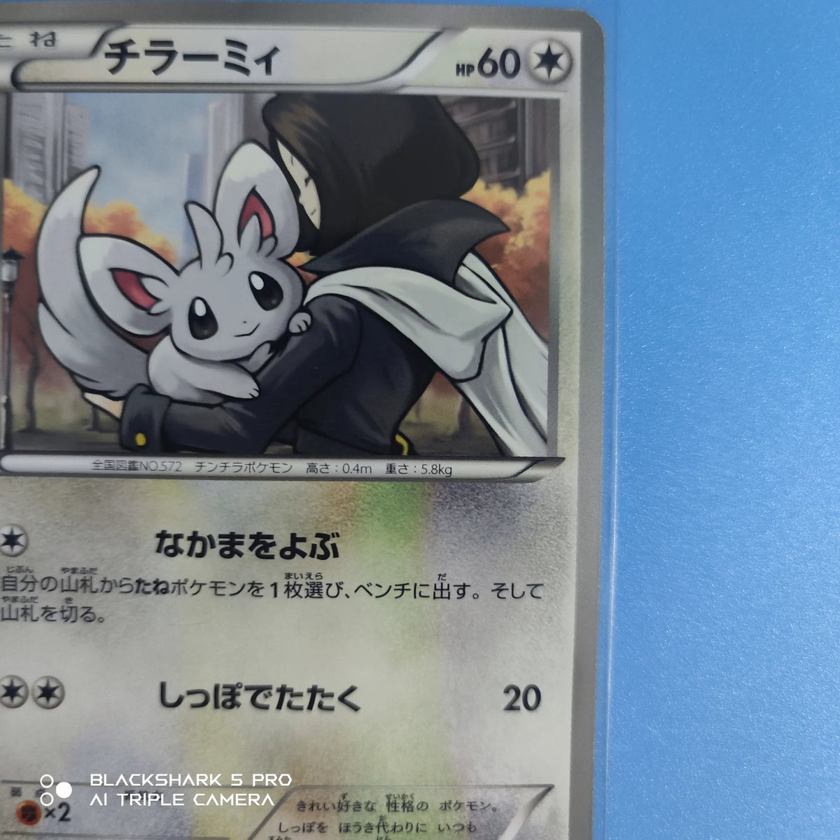 Minccino (JP) 088/093 · 1st Edition (EX Battle Boost)