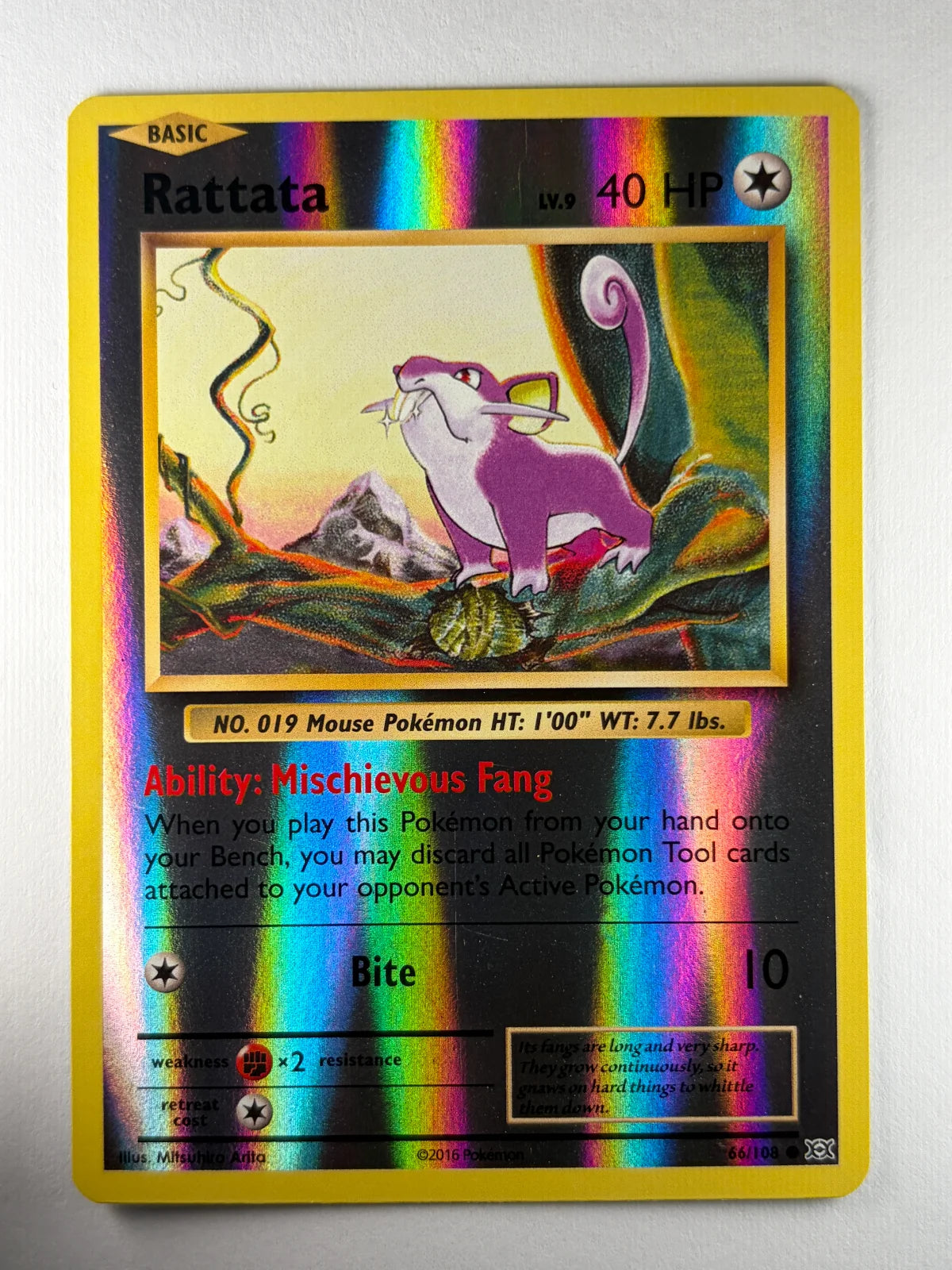 Rattata 66/108 Evolutions - Reverse Holo Pokemon