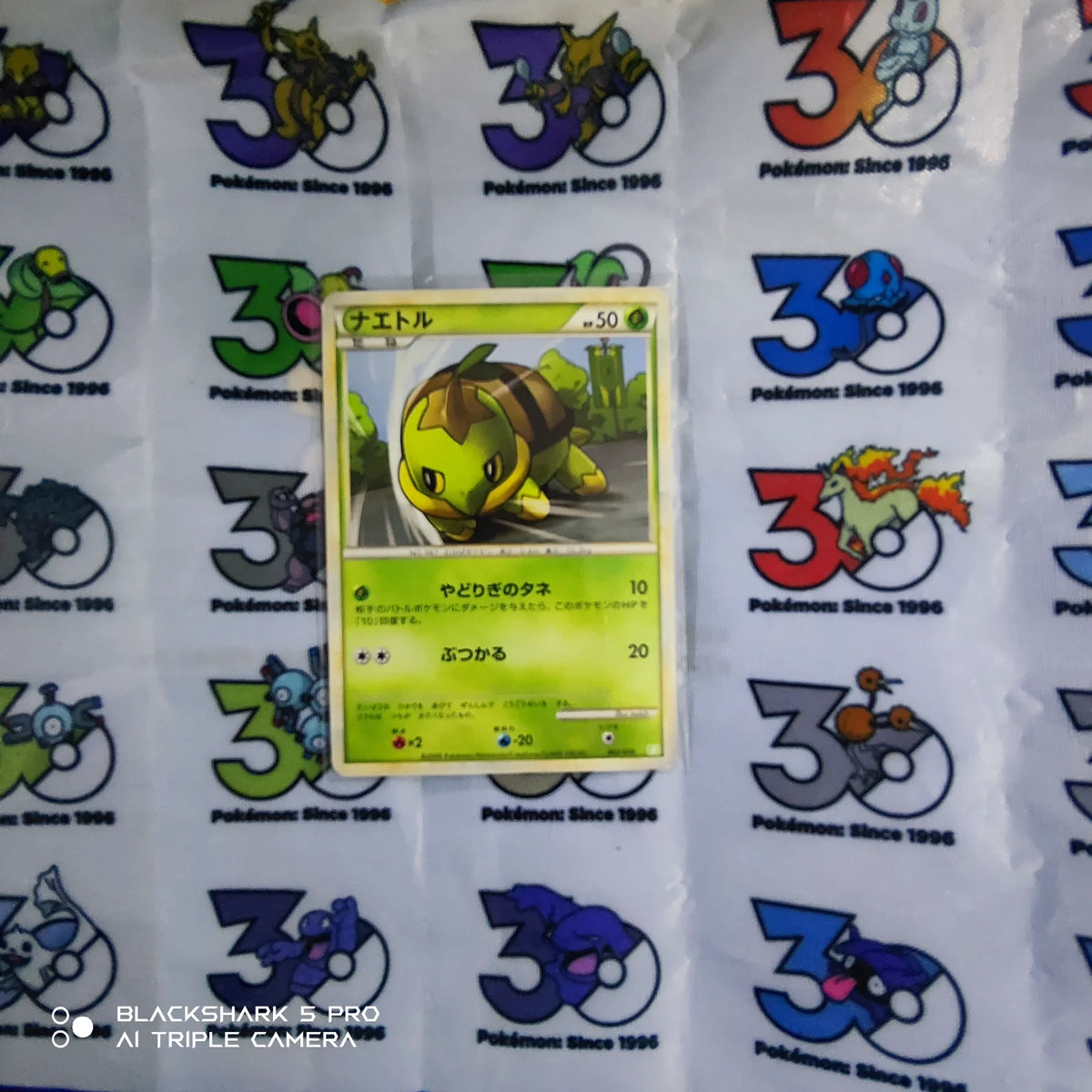 Turtwig 002/010 (Battle Starter Deck (Torterra))